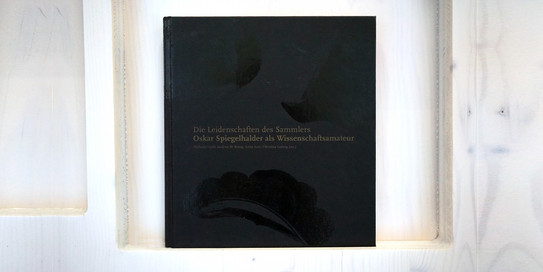 Die Leidenschaft des Sammlers